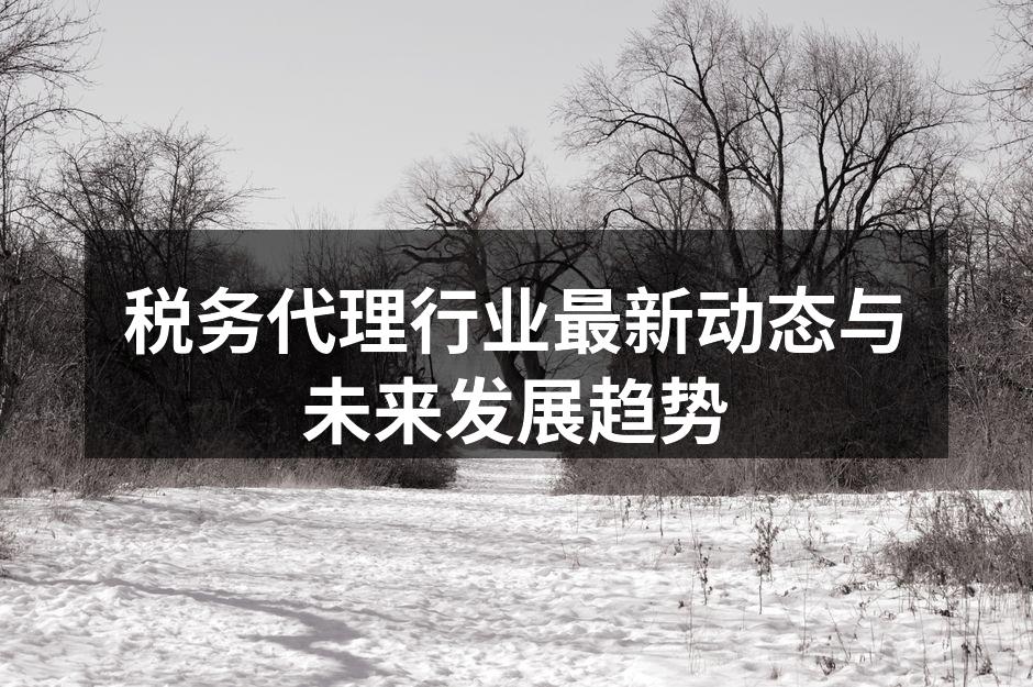 税务代理行业最新动态与未来发展趋势