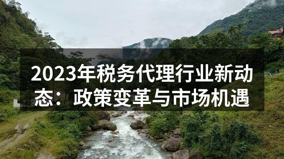 2023年税务代理行业新动态：政策变革与市场机遇