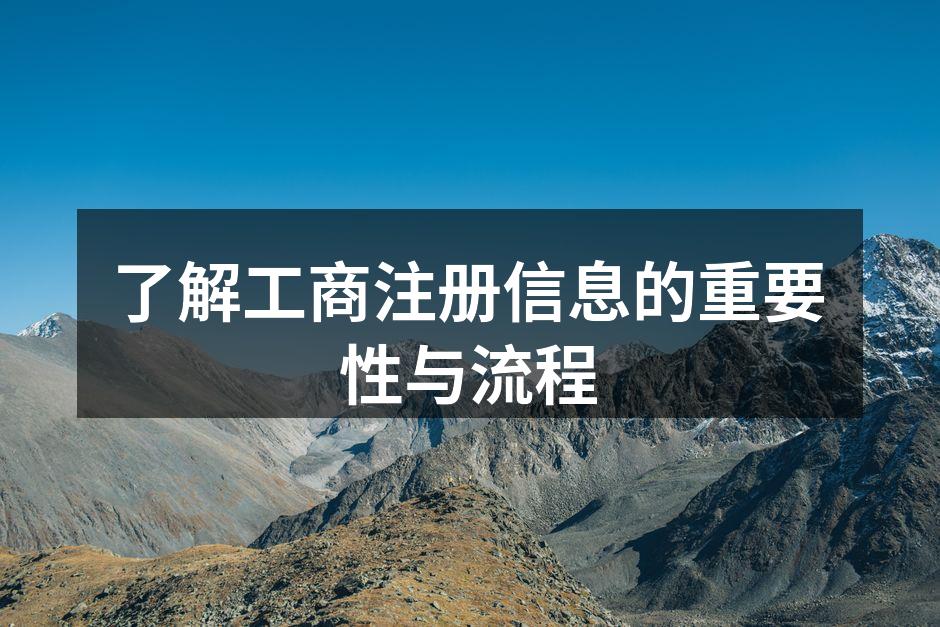 了解工商注册信息的重要性与流程