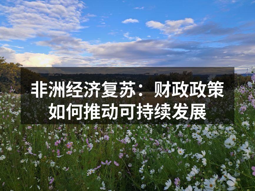 非洲经济复苏：财政政策如何推动可持续发展