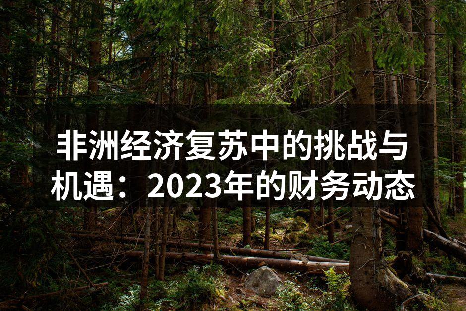 非洲经济复苏中的挑战与机遇：2023年的财务动态