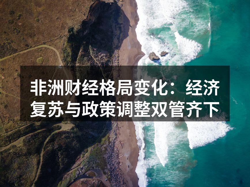 非洲财经格局变化：经济复苏与政策调整双管齐下