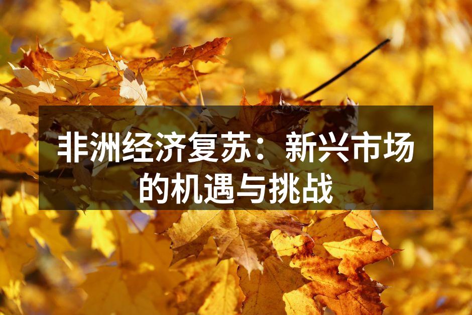 非洲经济复苏：新兴市场的机遇与挑战