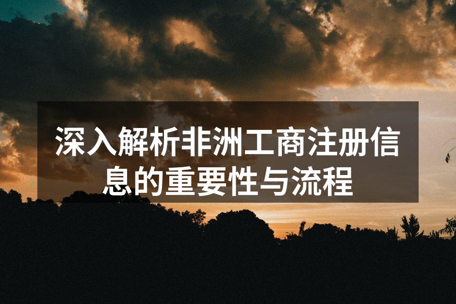 深入解析非洲工商注册信息的重要性与流程