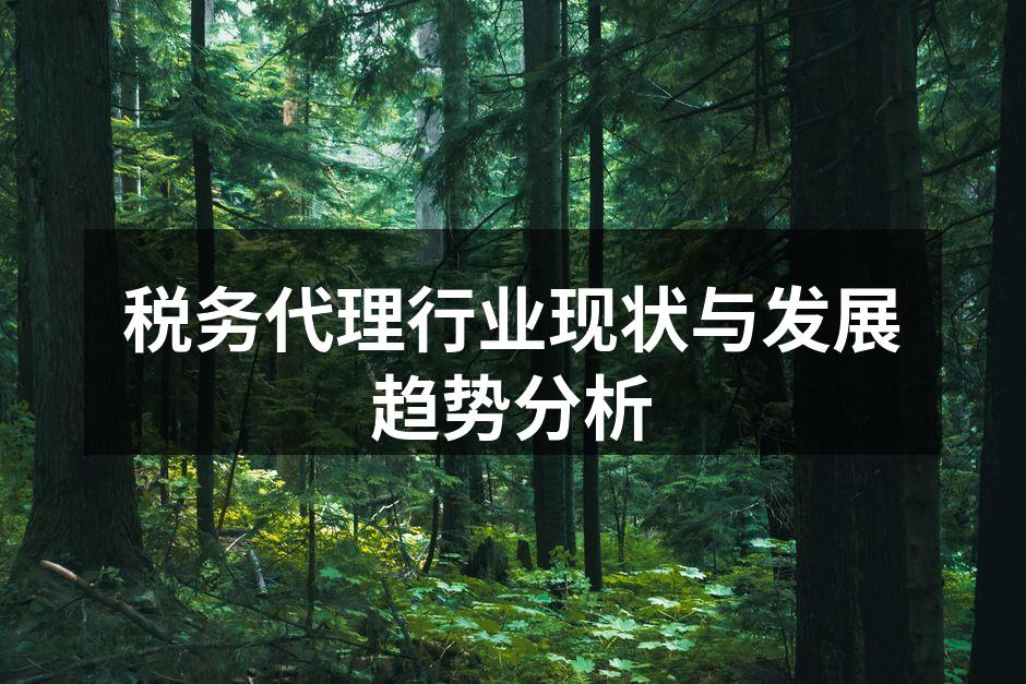 税务代理行业现状与发展趋势分析
