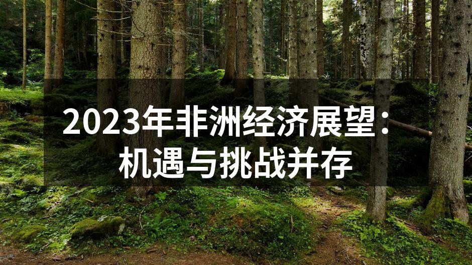 2023年非洲经济展望：机遇与挑战并存