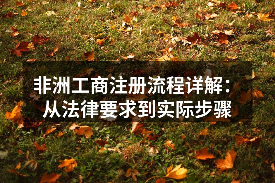 非洲工商注册流程详解：从法律要求到实际步骤