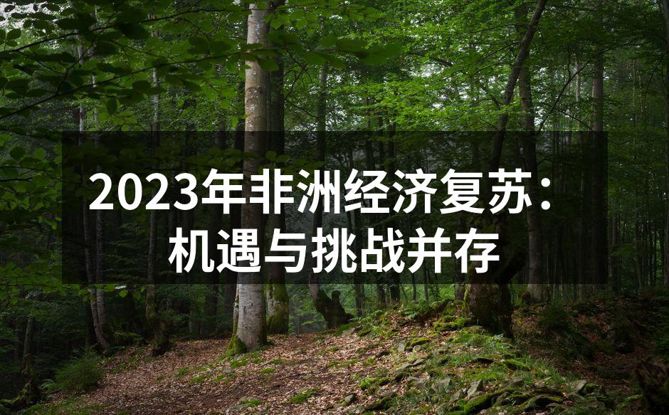 非洲经济复苏的蓝图