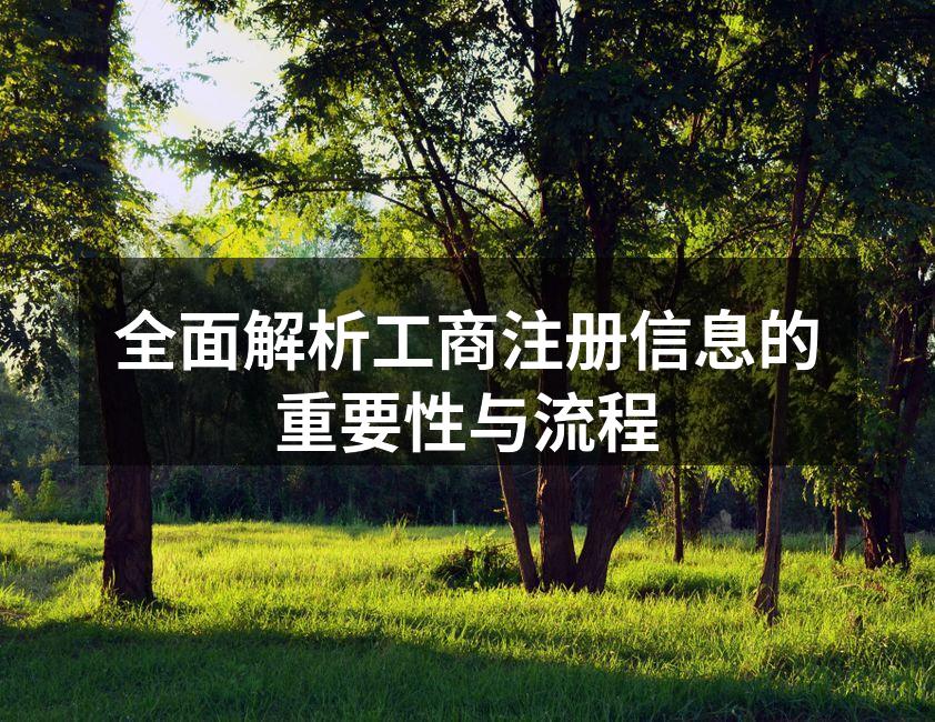 全面解析工商注册信息的重要性与流程